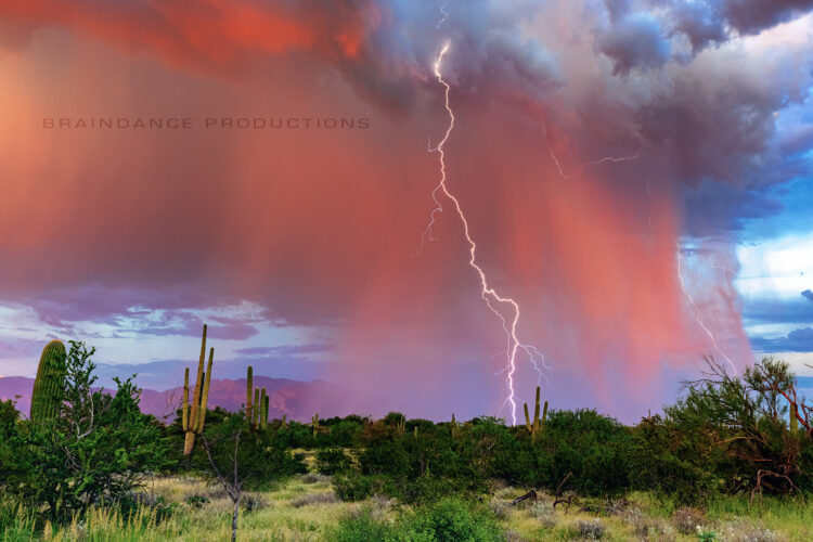 Sunset and Saguaro Lightning